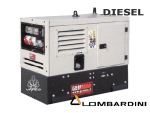 RG14000LSM Basic